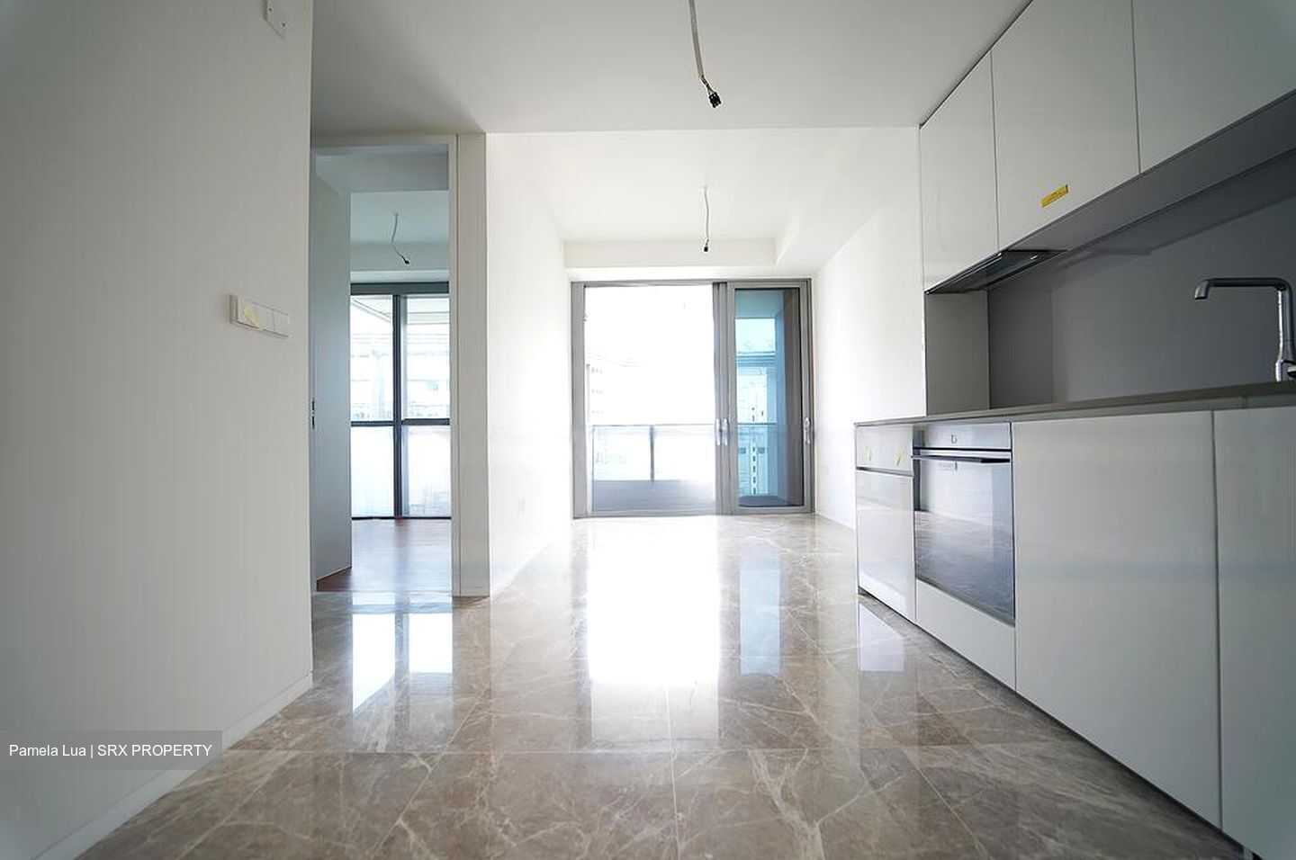 Amber Park (D15), Condominium #595774711